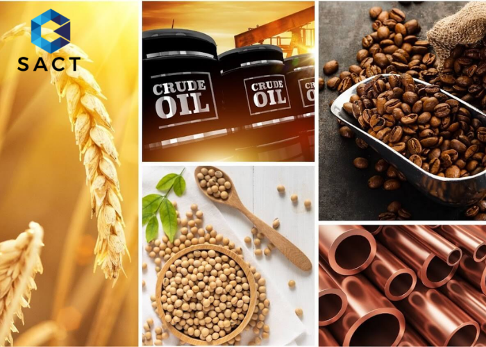 Hướng dẫn giao dịch hàng hóa phái sinh nhanh gọn dễ hiểu - Đầu tư hàng hóa SACT - Công ty cổ phần giao dịch hàng hóa Đông Nam Á