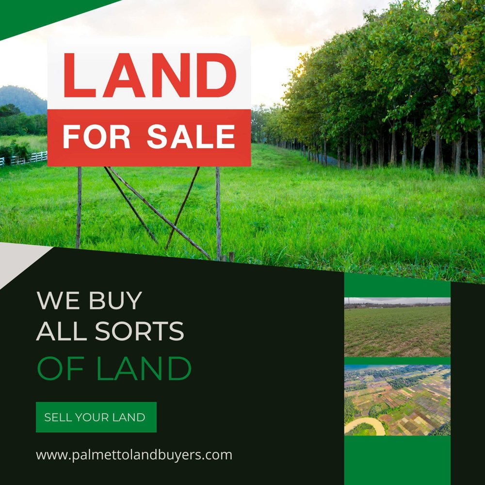 Sell My Land South Carolina | Palmettolandbuyers.com | Pearltrees