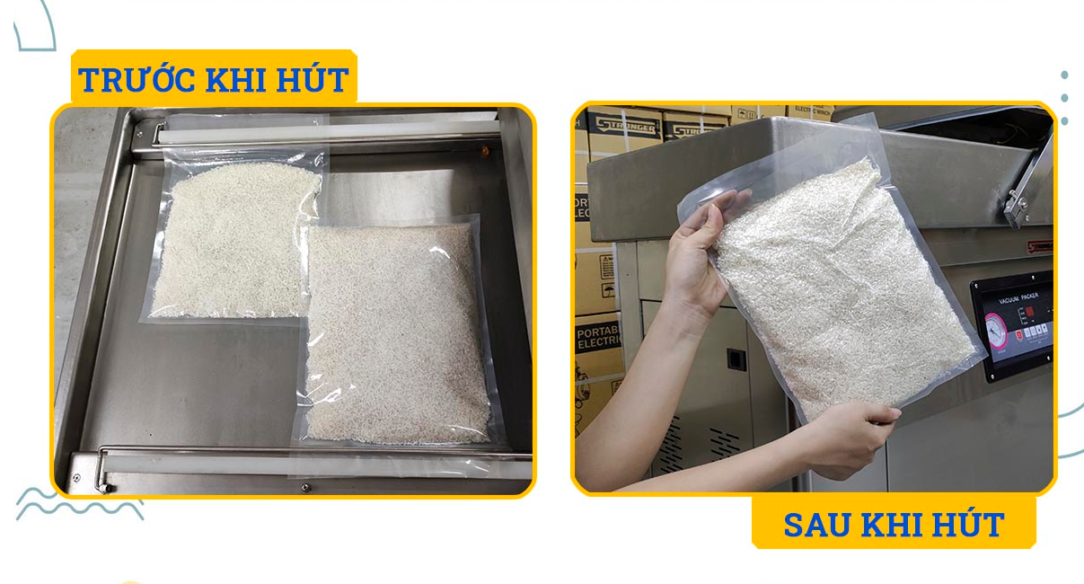 Những thông tin về máy hút chân không nhất định phải biết.