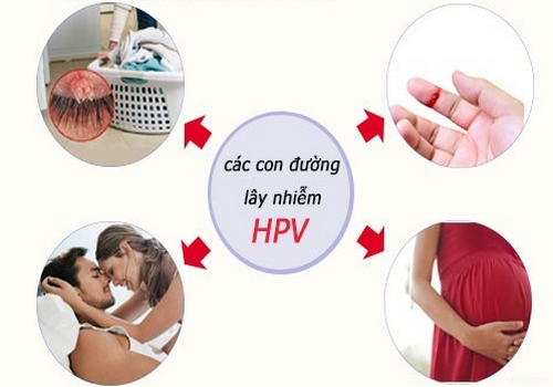 Sùi mào gà lây nhiễm như thế nào, cách phòng tránh an toàn | Phòng Khám Đa Khoa An Giang