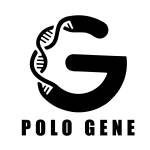 Gene Polo