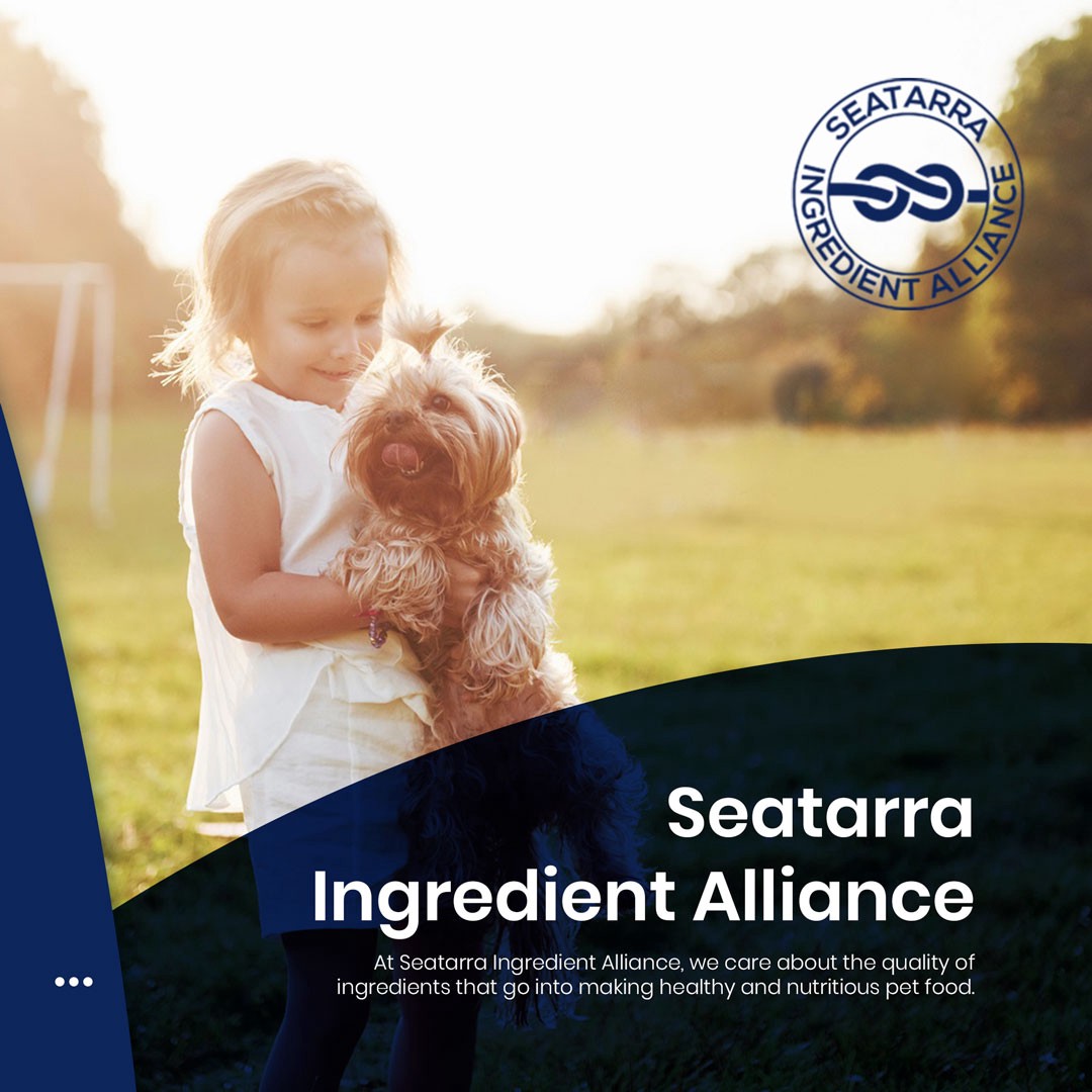 Dogs And Carbs: A Surprising Secret Revealed | by Seatarra Ingredient Alliance | Oct, 2022 | Medium