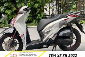 Tem xe tay ga trend đẹp nhất năm 2022 -         Nguyễn Decal - Chuyên Dán Keo Xe Design Tem Xe Decal Tem Xe Nguyễn Decal