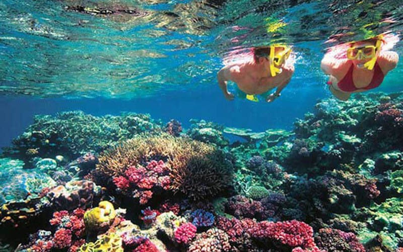 Cham Island Tour From Da Nang at the best price - Da Nang Tours City