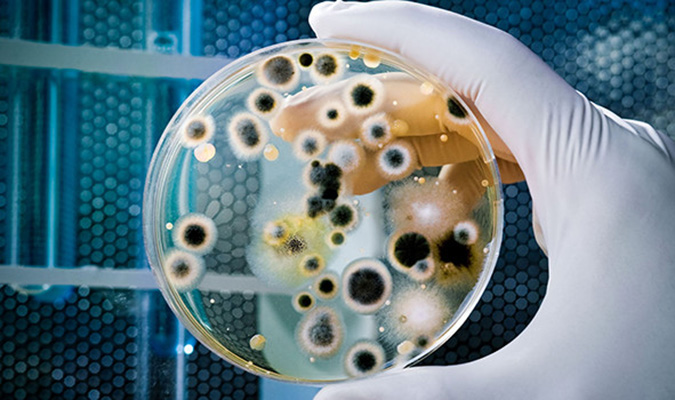 Kháng sinh đồ là gì? Tại sao phải làm kháng sinh đồ - PHÒNG KHÁM ĐA KHOA ĐÔNG PHƯƠNG