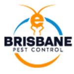 E Spider Control Brisbane