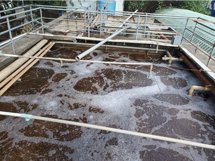 4 điều cần biết về bùn vi sinh