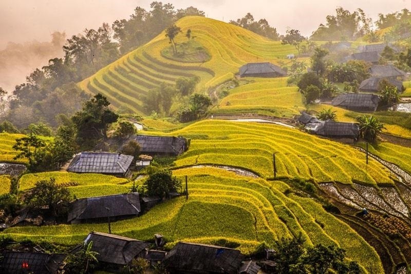 Mùa lúa chín ở Hà Giang vào tháng mấy đẹp nhất?