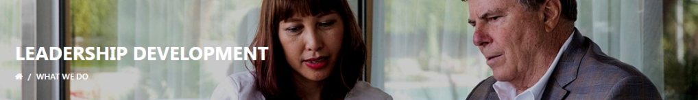 Find Recognized Recruitment Agency to Join Executive Leadership Development Program – CnetG Asia