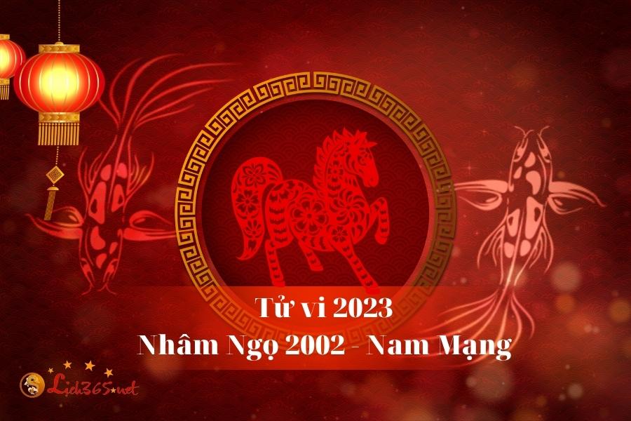 Tử Vi Tuổi Nhâm Ngọ 2002 Nam Mạng Năm 2023