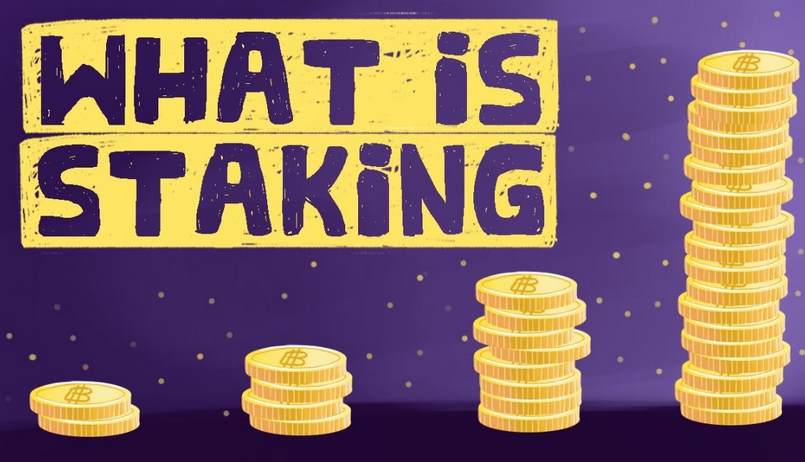 Stake coin là gì? Hướng dẫn staking coin cơ bản cho người mới