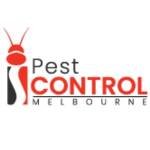 I Flies Control Melbourne