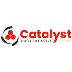 Catalyst Duct Cleaning