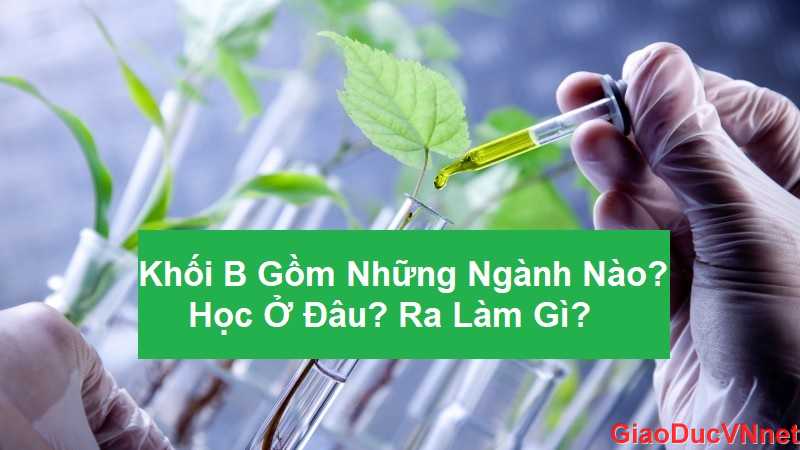 Khối B Gồm Những Ngành Nào? Học Ở Đâu? Học Ra Làm Gì?