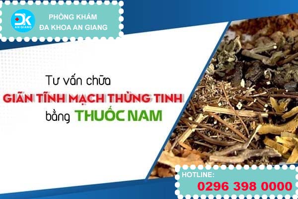Tư vấn chữa giãn tĩnh mạch thừng tinh bằng thuốc nam