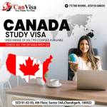 Can Visa Consultant