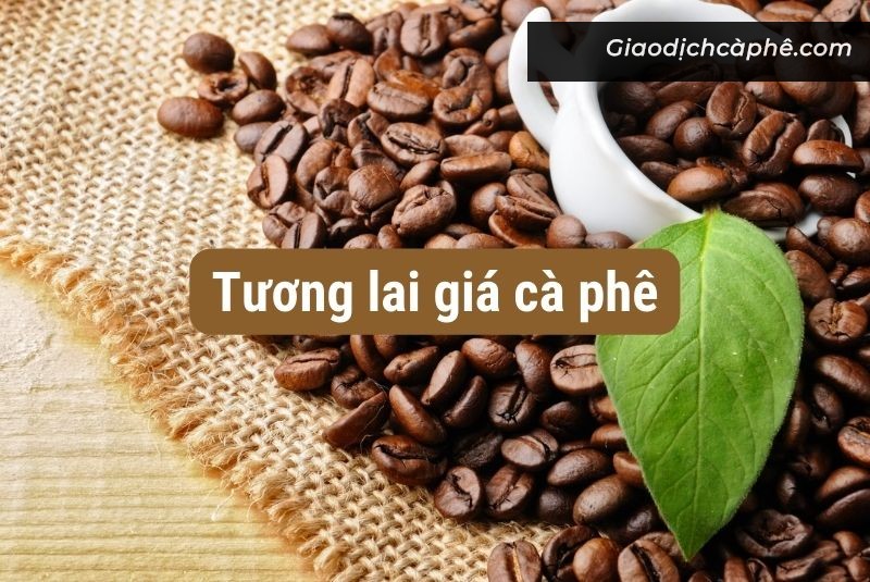 Sàn Giao Dịch Cà Phê