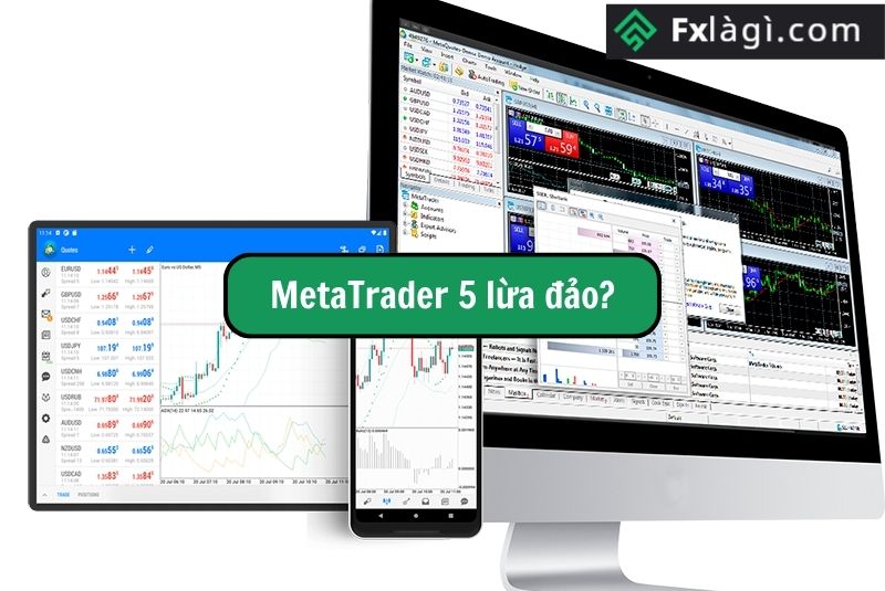 Sự Thật Nền Tảng Metatrader 5 Lừa Đảo Nhà Đầu Tư
