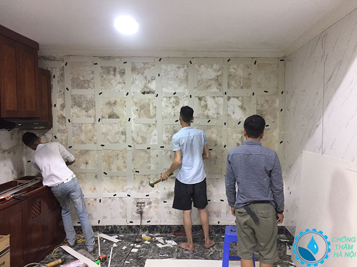 #3 giải pháp chống ẩm mốc cho nhà và công trình - Chống thấm Hà Nội