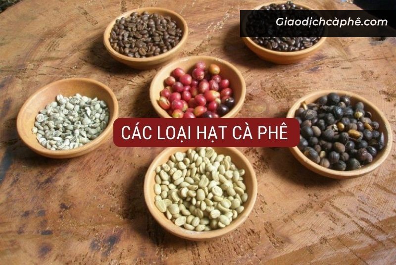 Sàn Giao Dịch Cà Phê