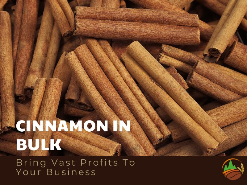 Purchase Cinnamon In Bulk Will Bring Vast Profits To Your Company