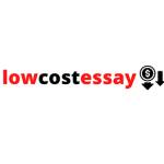 Low Cost Essay