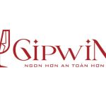 Máy Lão Hóa Rượu Gipwin