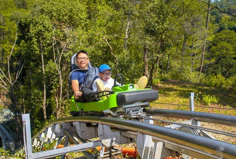 Tour du lịch Đà Lạt 2 ngày 1 đêm - Luxtour