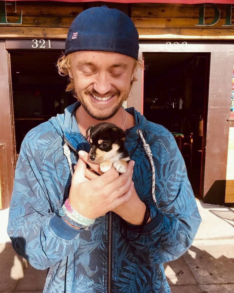 Tom Felton and proofs he is indeed a dog person