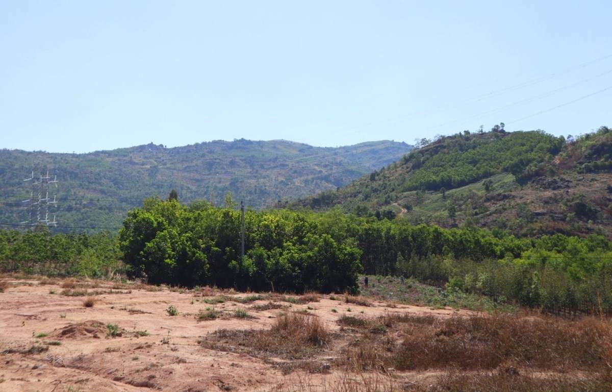 Đất chưa sử dụng là gì? Quy định về đất chưa sử dụng của Nhà nước