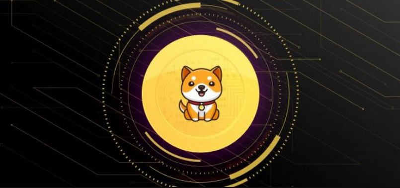 Baby Doge coin là gì? BABYDOGE - meme coin "hot" nhất 2022
