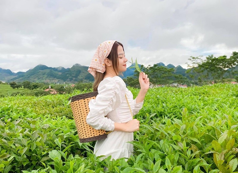 Tour Mộc Châu - Sapa 3 ngày 2 đêm - Luxtour