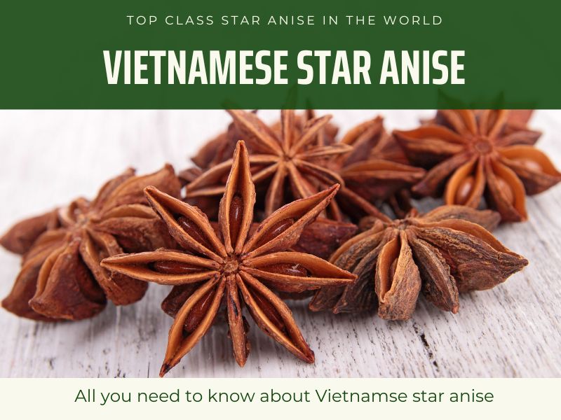 Vietnamese Star Anise Is Considered Top 1 Star Anise In The World