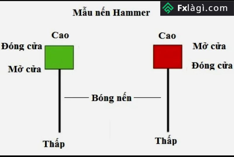 Cách Giao Dịch Với Mô Hình Cây Búa Dành Cho Trader Mới