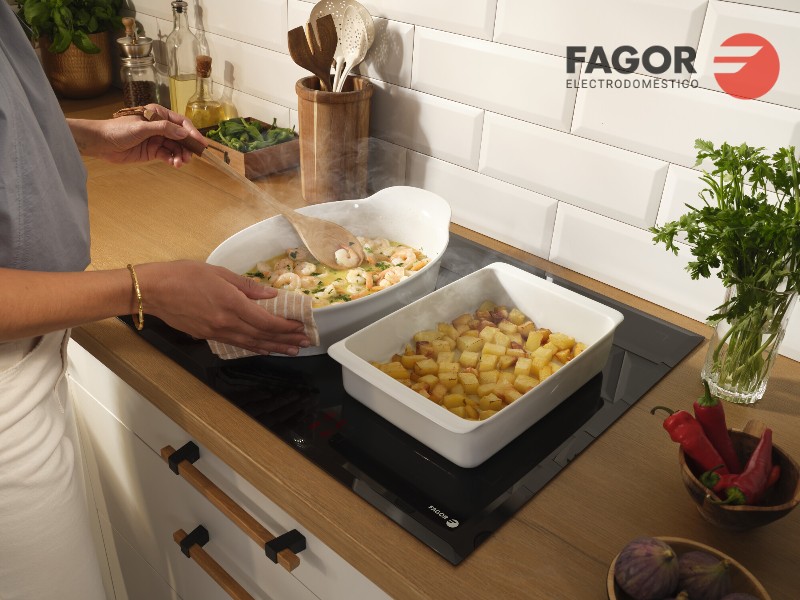 Lỗi cơ bản thường gặp ở bếp từ đôi Fagor và cách khắc phục - Fagor