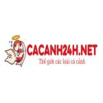 Cá Cảnh 24h