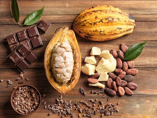 Đầu tư cacao - sinh lợi nhuận cao - Công ty cổ phần giao dịch hàng hóa Đông Nam Á