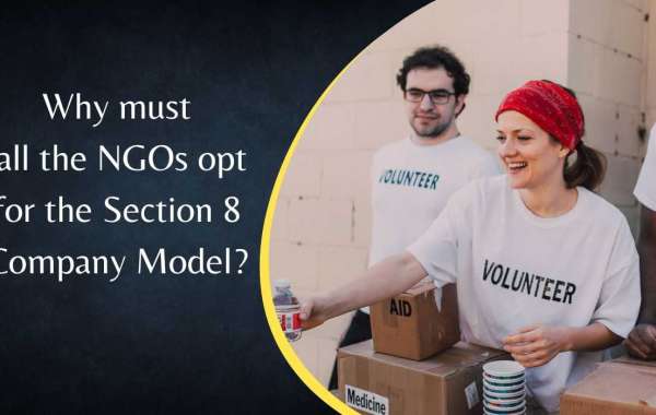 Why must all the NGOs opt for the Section 8 Company Model?