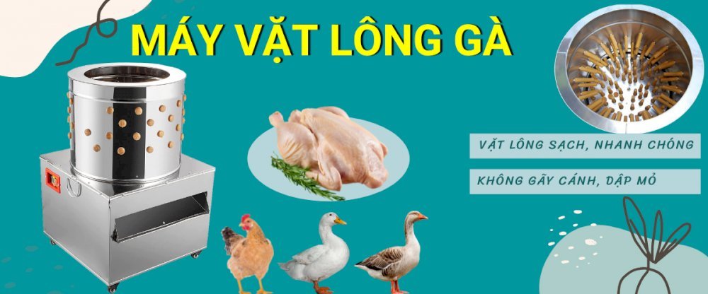 Những Lỗi Thường Gặp Khi Sử Dụng Máy Vặt Lông Gà