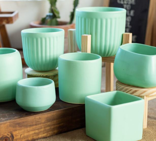 Mua chậu cây mini để bàn làm việc, bàn học sang xịn mịn - Decor Xịn