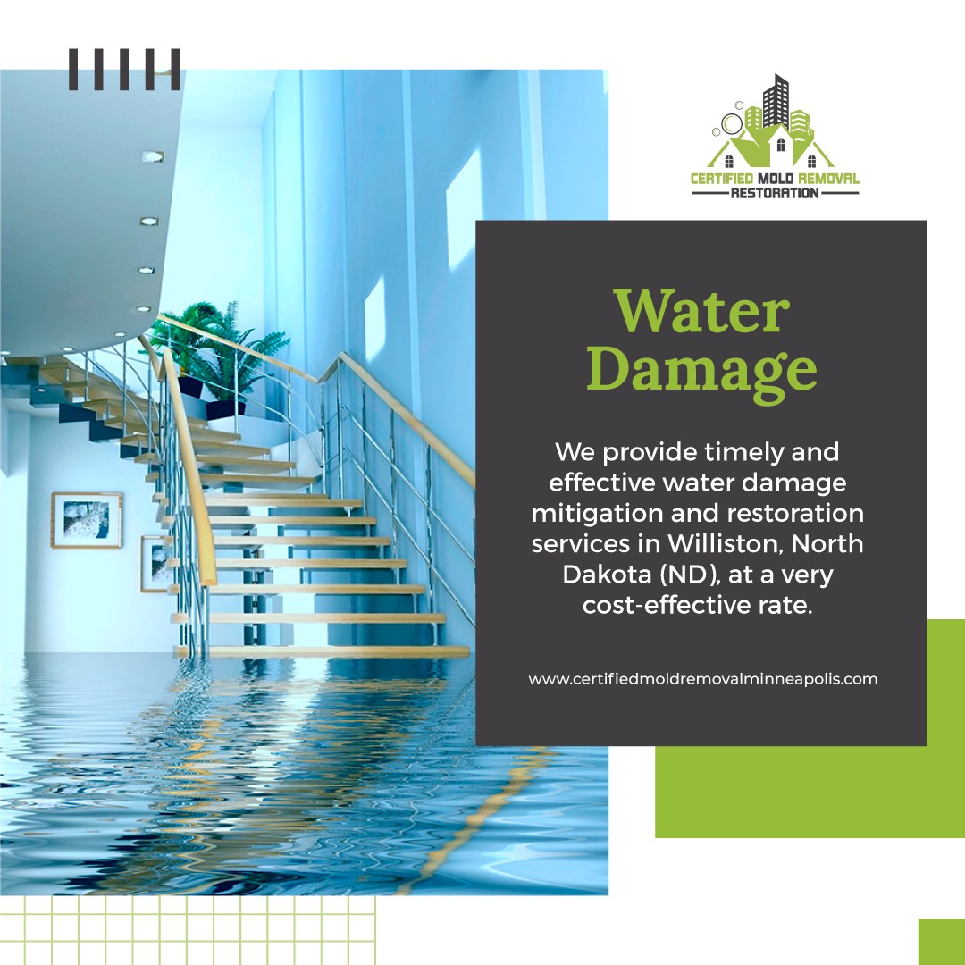 How To Prevent Your House From Devastating Effects Of Water Damage And Mold? | by Certified Mold Removal Restoration | Dec, 2022 | Medium