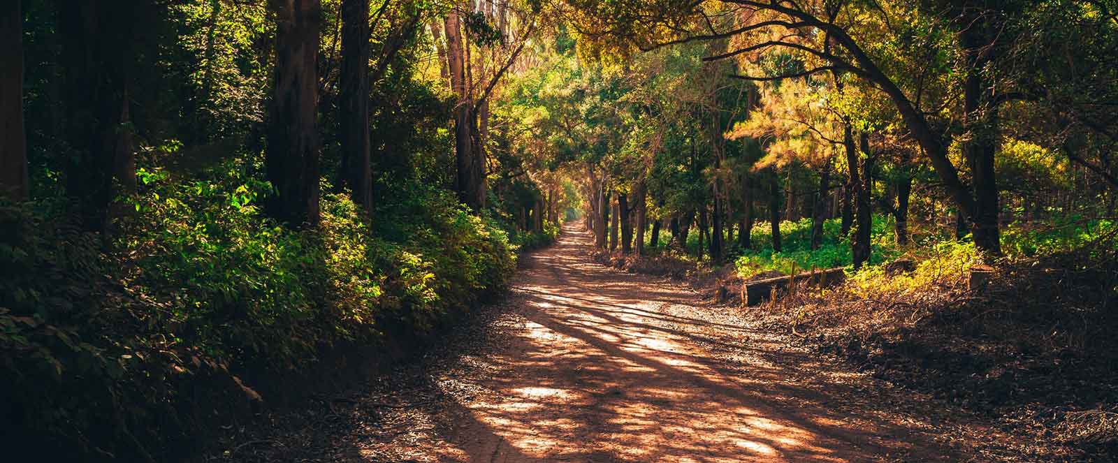 School Operators Have Various Tasks to Perform in Educational Sector