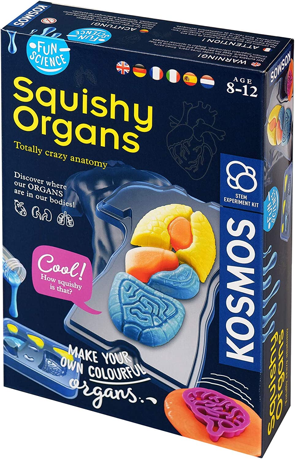 Squishy Organs - Make-Your-Own Squishy Human Body - Fun Science - Stem Experiment Kit | Curiouskidzz