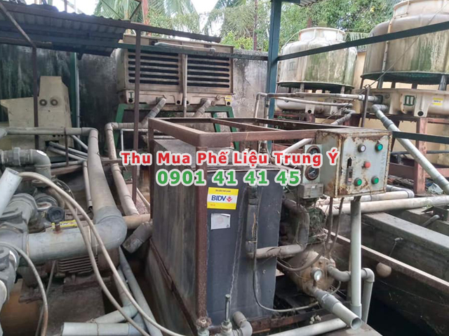 Bảng Báo Giá Phế Liệu Mới Nhất Hôm Nay [1 Giờ Trước] - Thu Mua Phế Liệu Trung Ý