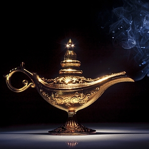 Manifestieren lernen wie das VIP-Mitglied Elmer O. Locker Jr