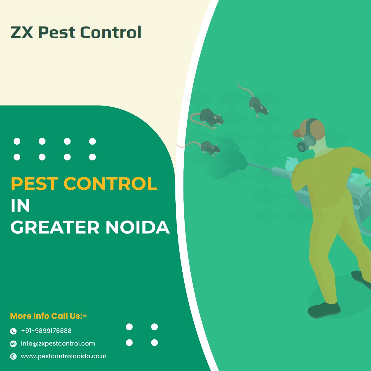 Searching For Reliable Pest Control in Greater Noida - Classified Ads Shop