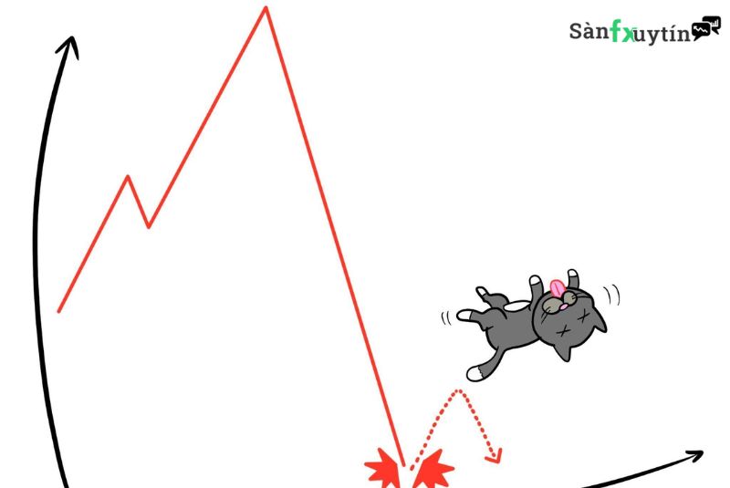 Dead Cat Bounce là gì? Và Phương Pháp Giao Dịch Hiệu Quả