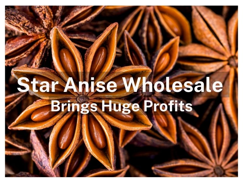 Star Anise Wholesale Which Brings Huge Profits For Wholesaler