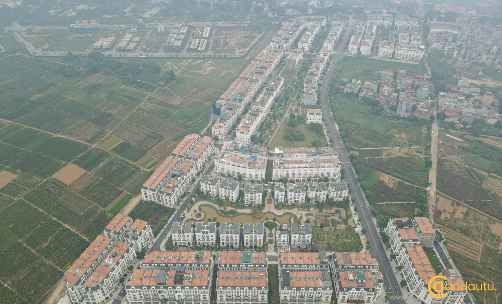 Khu đô thị Louis City: Thông tin & Tiến độ