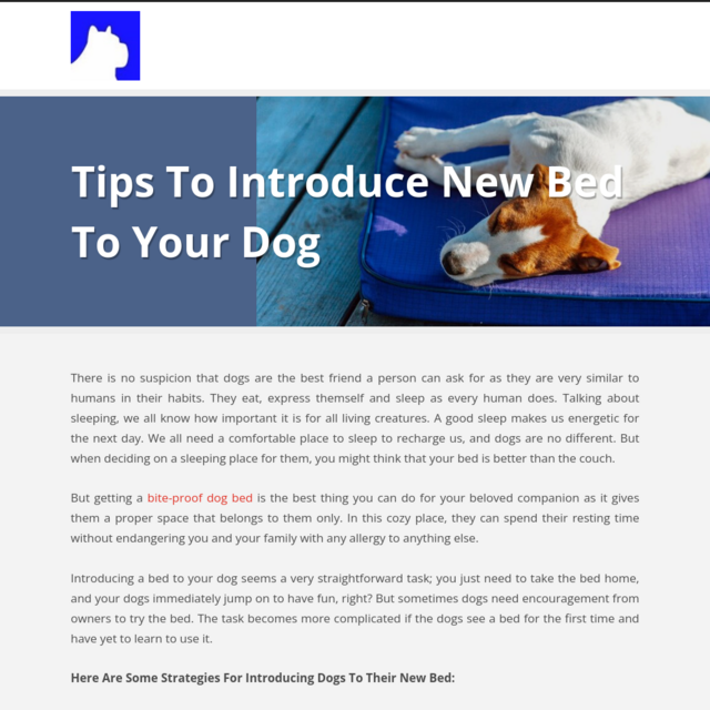 Tips To Introduce New Bed To Your Dog